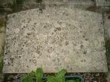 image of grave number 259034
